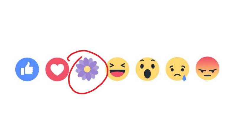 Facebook Tests ‘Discover’ for Groups, New Reaction Emoji for Mother’s Day