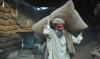 pakistani man, labor, laborer, human capital