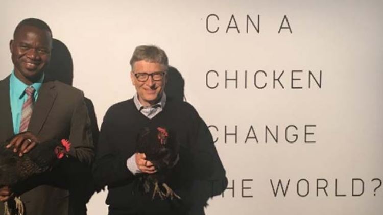 Bill Gates Finally Finds out the Trick that Pakistanis Knew Since Ages