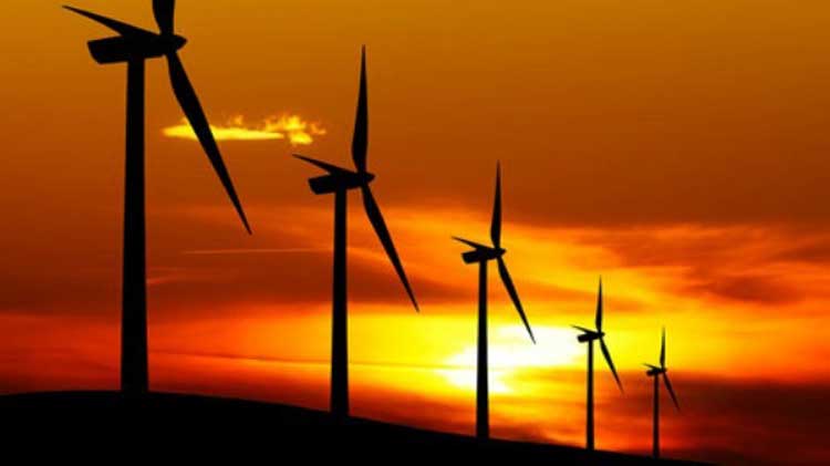 $2.2 Billion Wind Farms To Be Set Up in South Punjab