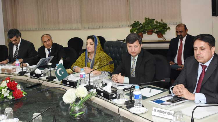 Dream of Digital Pakistan Could be Materialized by 2018: Anusha