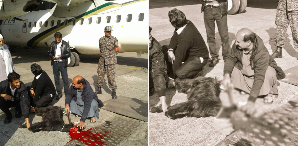 PIA Sacrifices Black Goat Before Resuming ATR Flight Operation