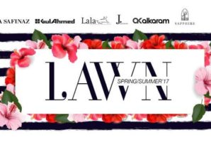 yayvo summer collections
