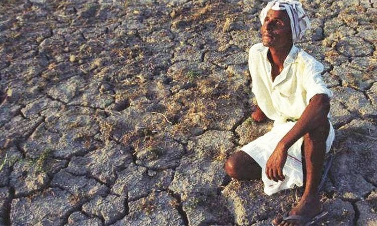 Thar Faces ‘Humanitarian Crisis’ Due to Potential Drought: UN