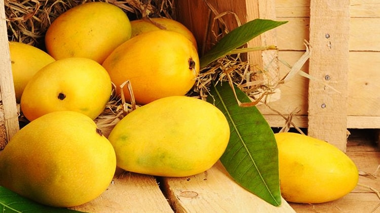 Pakistan is Winning the War of Mangoes Against India