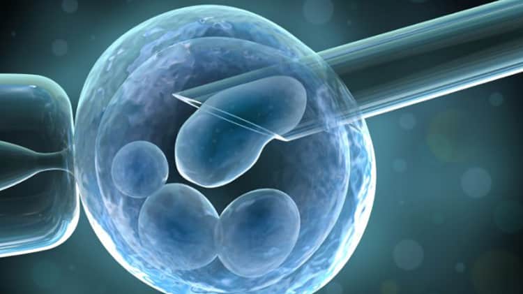 Scientists Carry Out World’s First Human Stem Cell Transplant