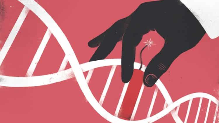 CRISPR Targets Cancer After Neutralizing HIV, AIDS and Zika Virus