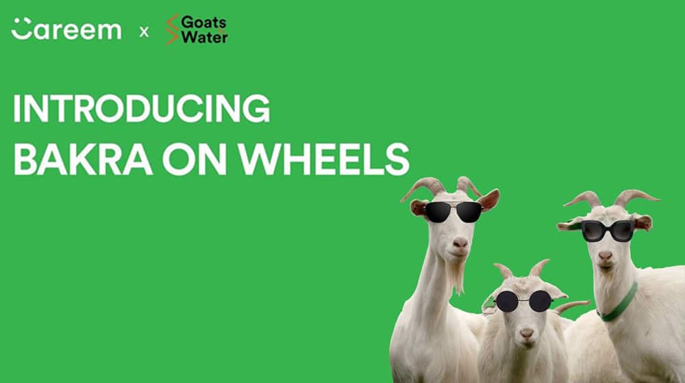 You Can Now Buy a Bakra with Careem