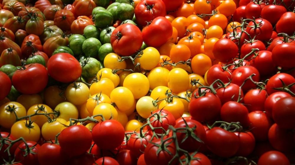 Tomato Prices Remain High Despite Govt Efforts
