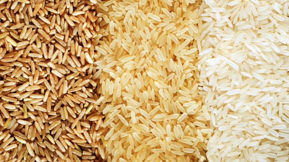Pakistan's Rice Exports Increased 38.58% in First Five Months of FY 2019-20