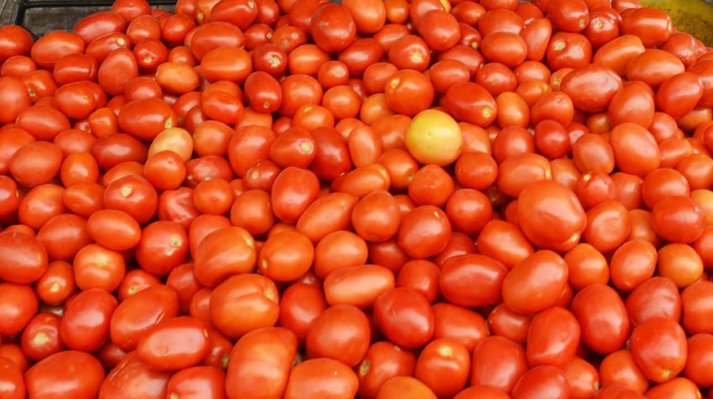 Tomato Prices Remain High Despite Fresh Imports from Iran [Updated]