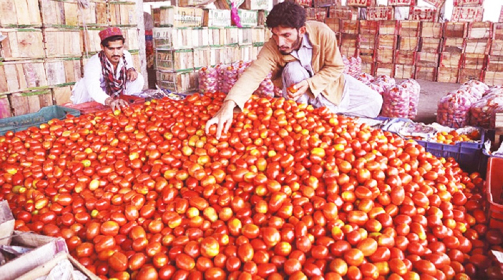 Vegetable Prices Have Increased by 400% During Past Few Months