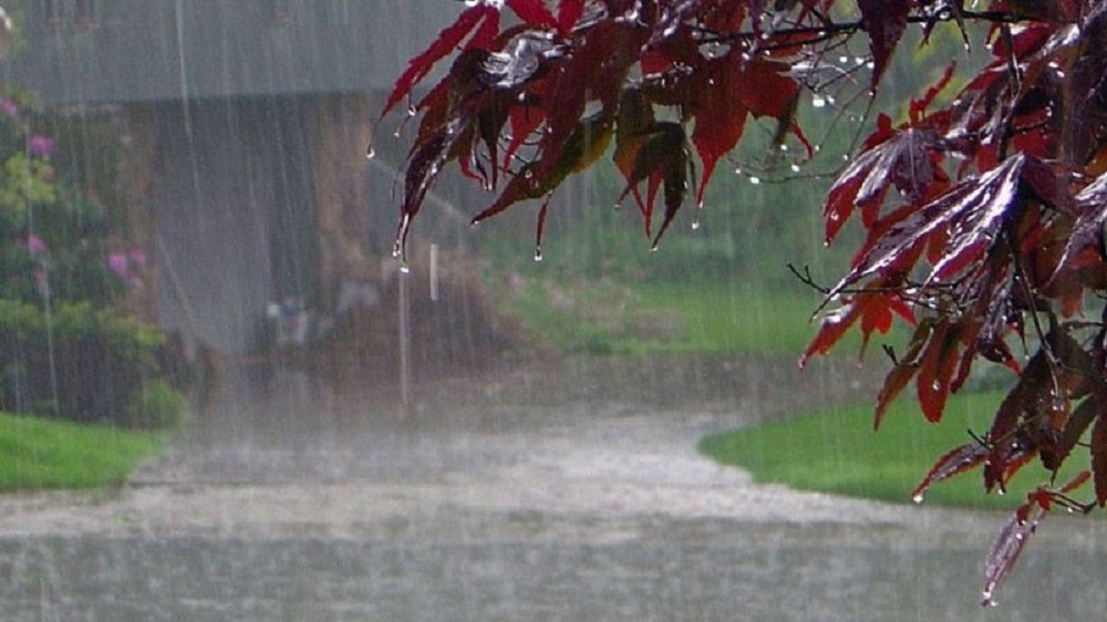 Heavy Rain Alerts Issued for KP and Other Regions