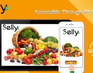 selly pk online grocery shopping