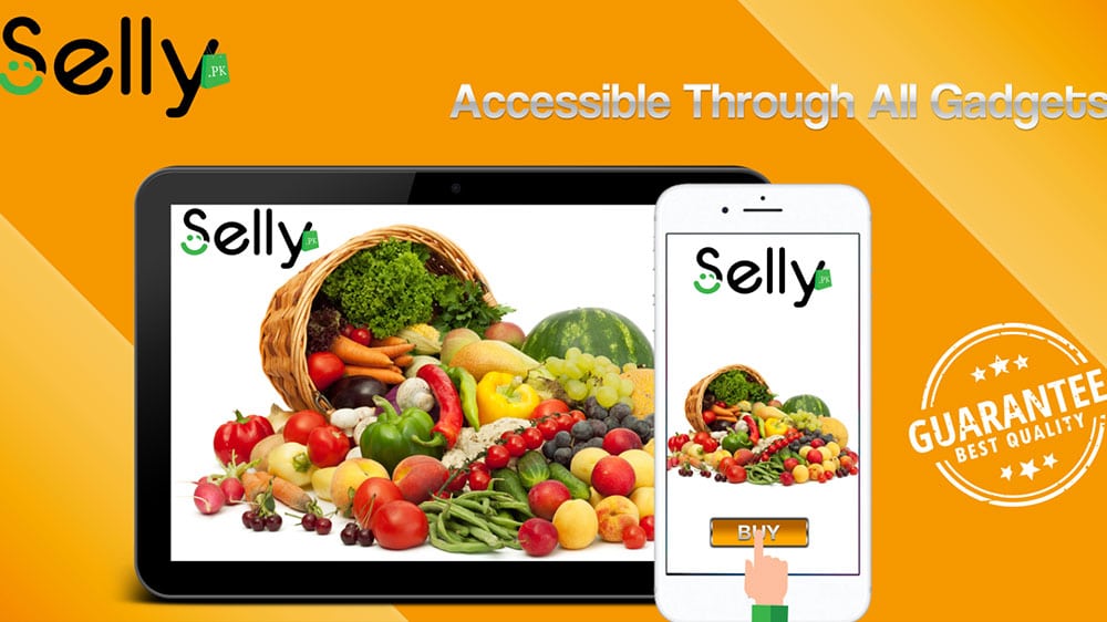 selly pk online grocery shopping