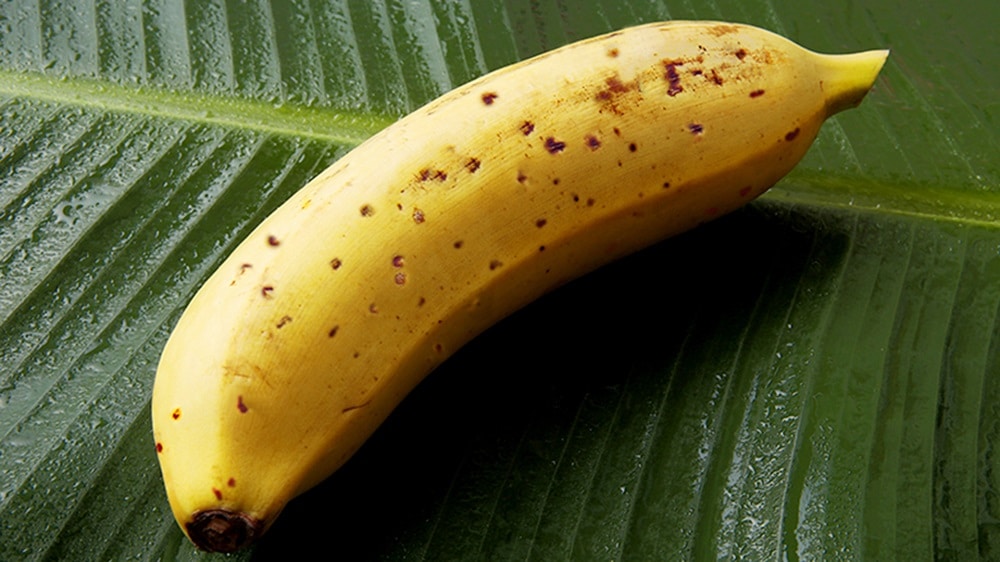 You Can Eat This New Type of Banana Without Pealing It