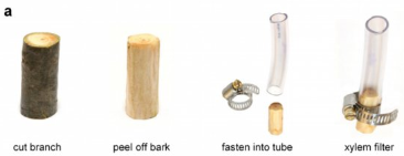 Xyla Water Filter Parts