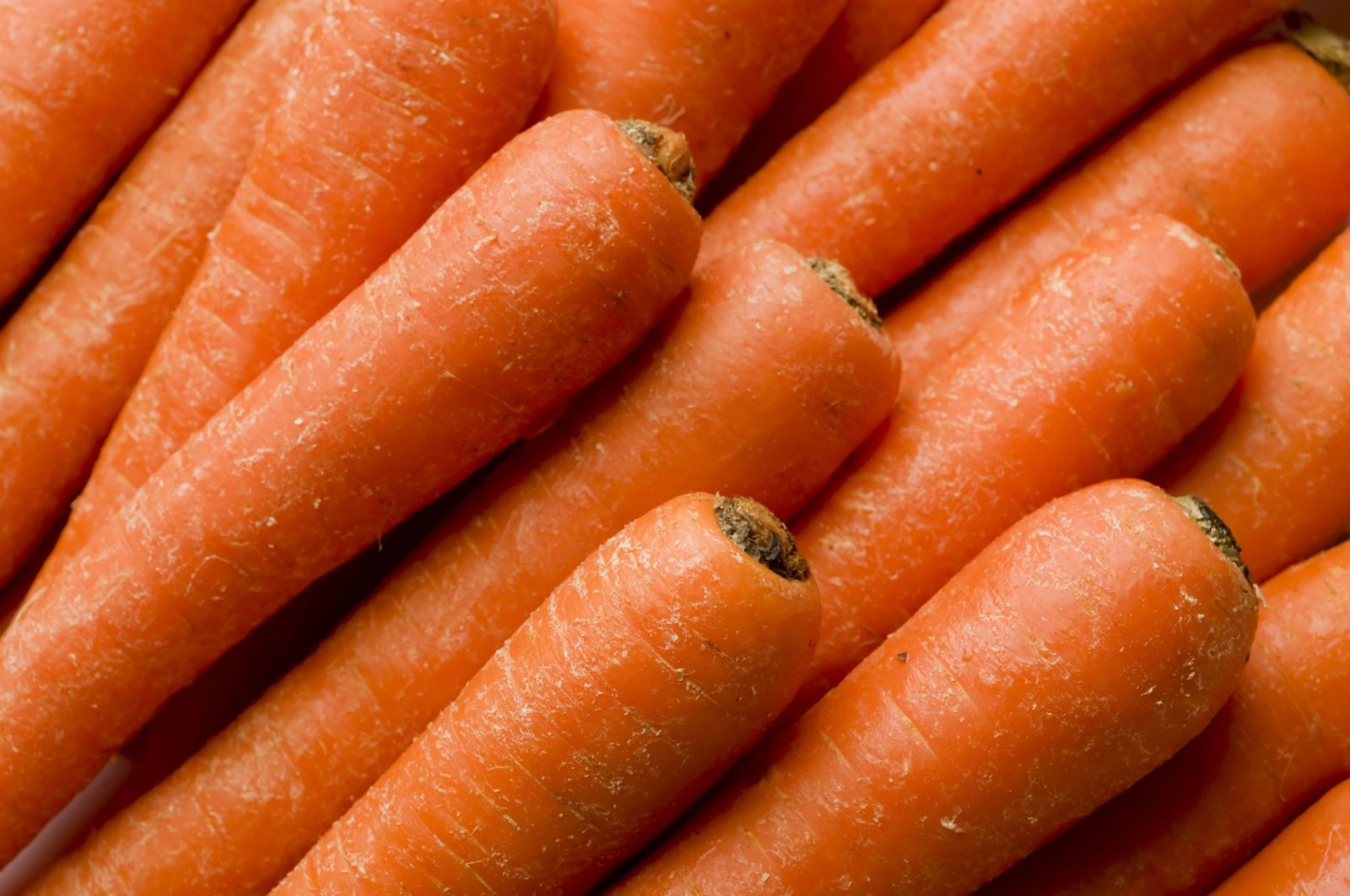 Multiple Carrots