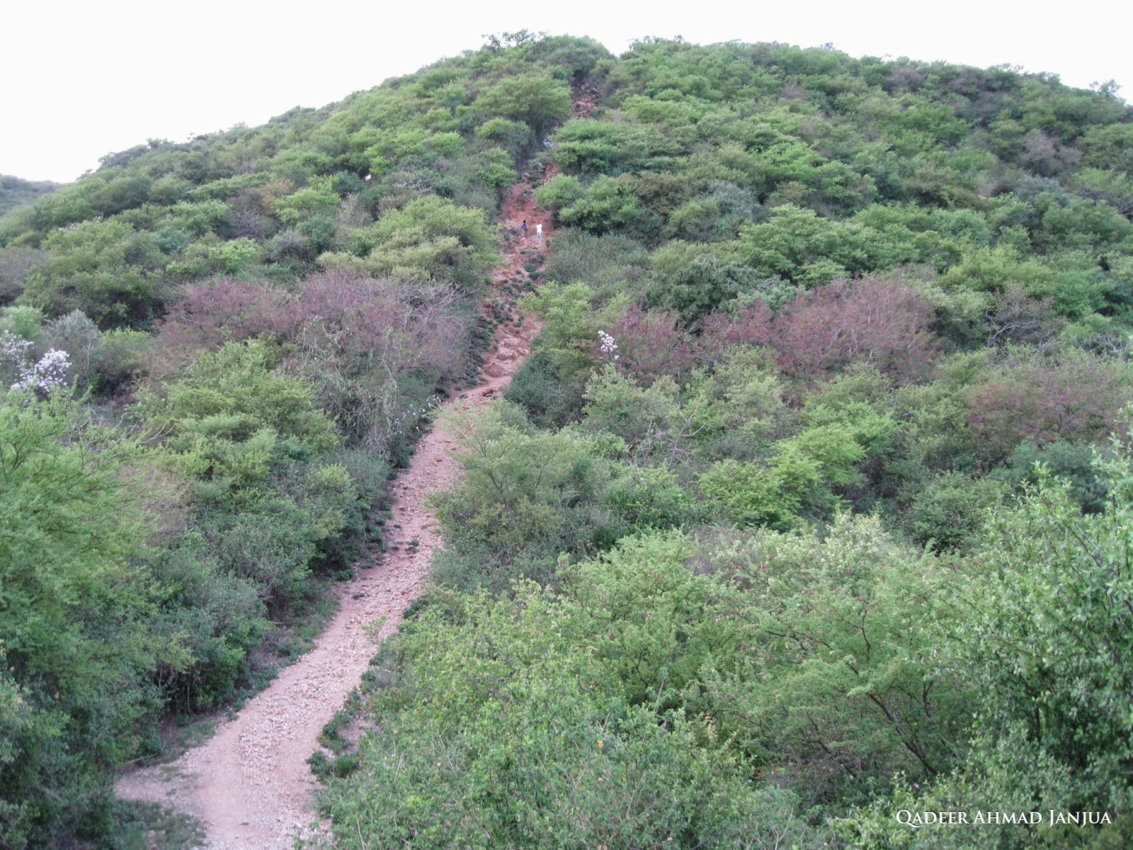 Margalla Hike Track