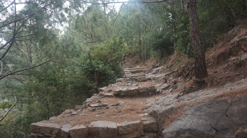 Margalla Trails