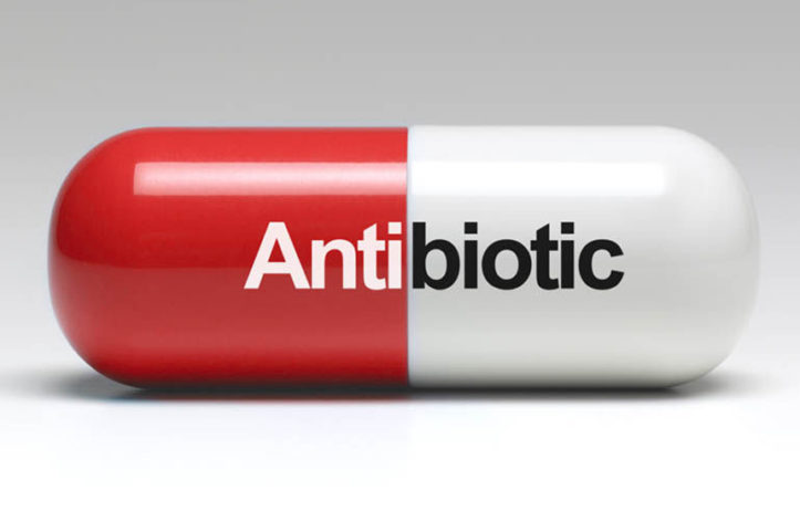 antibiotic capsule