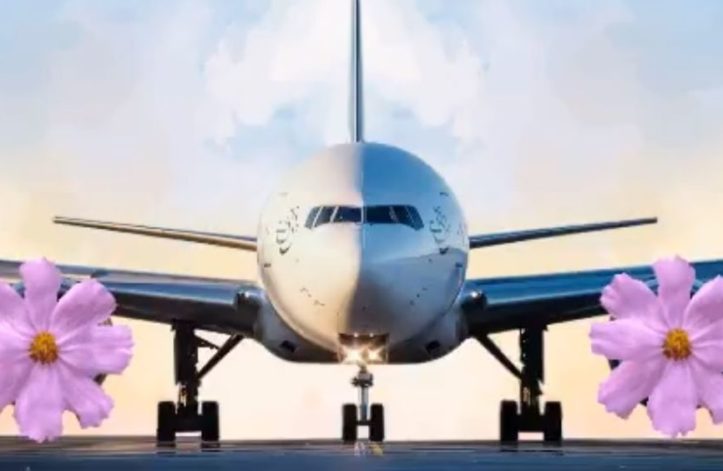 pia plane spring season