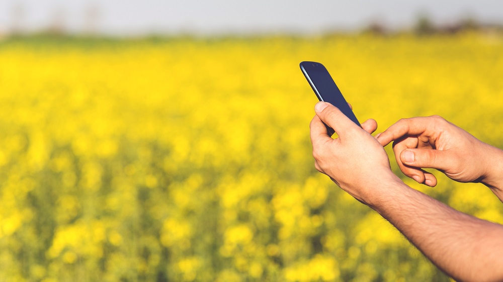 Telenor and Inbox Business Technologies Lead the Way in Modernizing Agriculture in Punjab