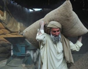 pakistani labour