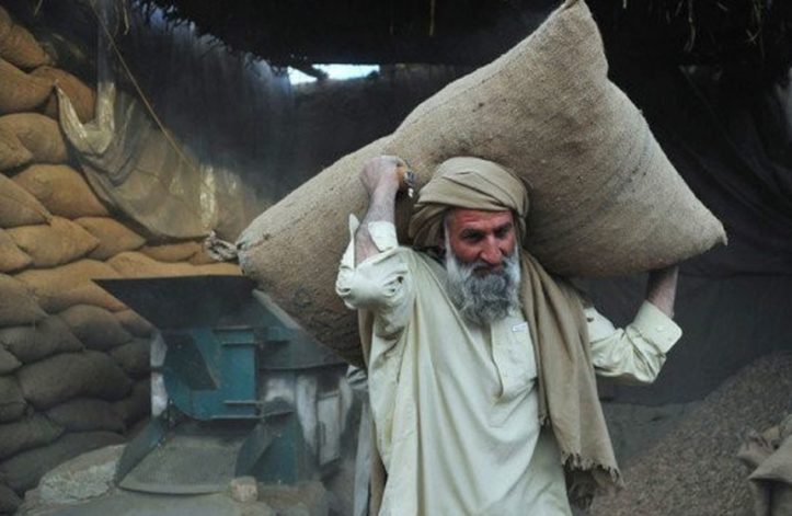 pakistani labour