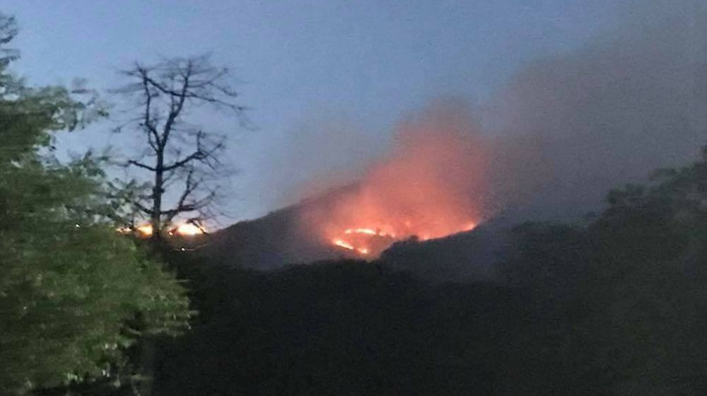 Fire on Margalla Hills