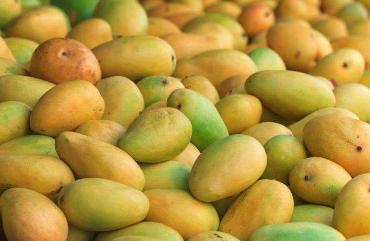 mangoes
