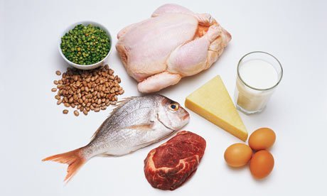 protein rich foods 
