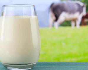tetra milk