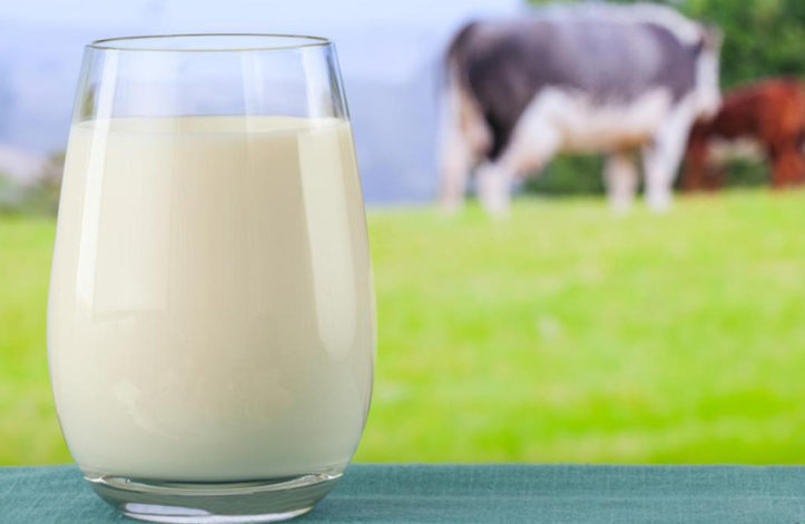 tetra milk