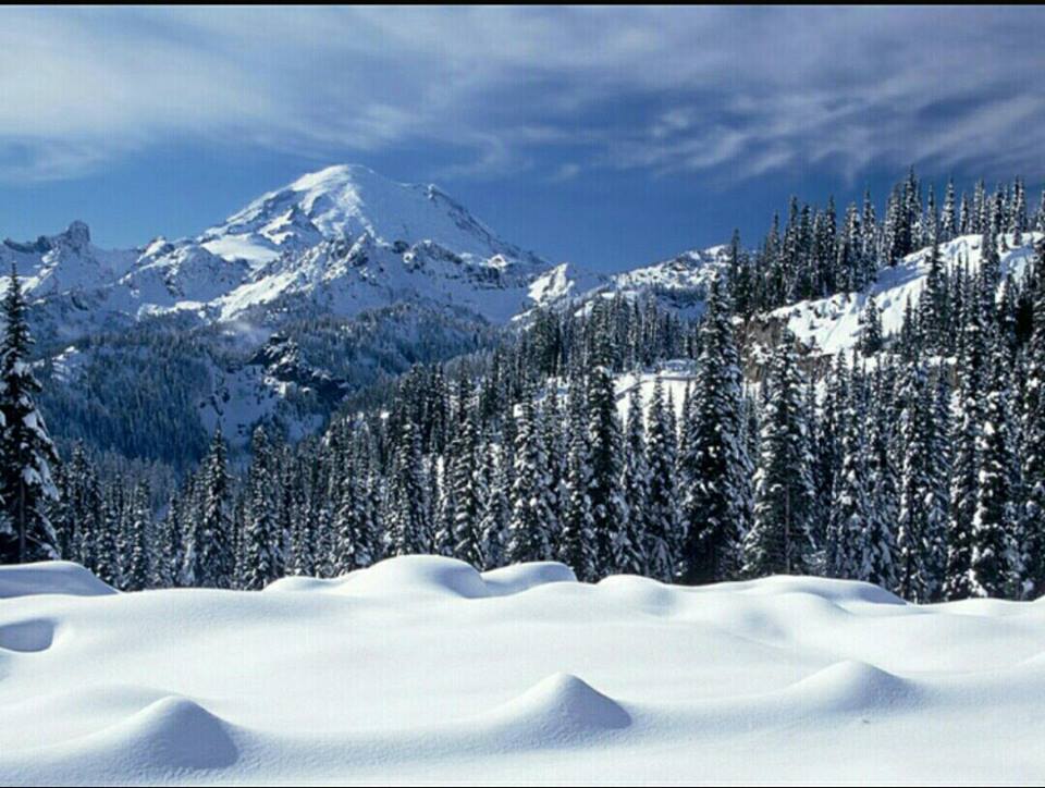 Murree Mountains Winter Snowfall
