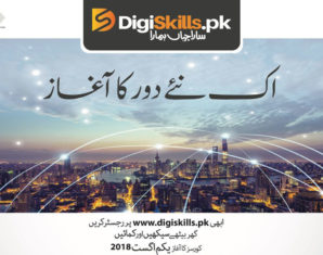 DigiSkills Program