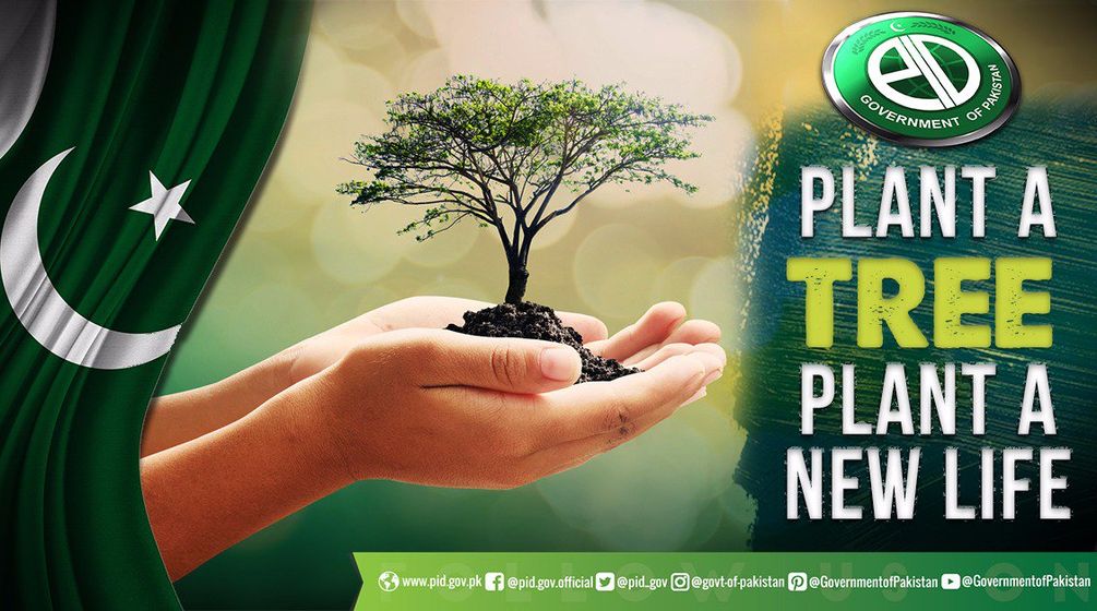 Plant4Pakistan