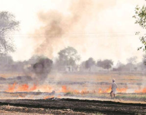 Crop Burning in Pakistan