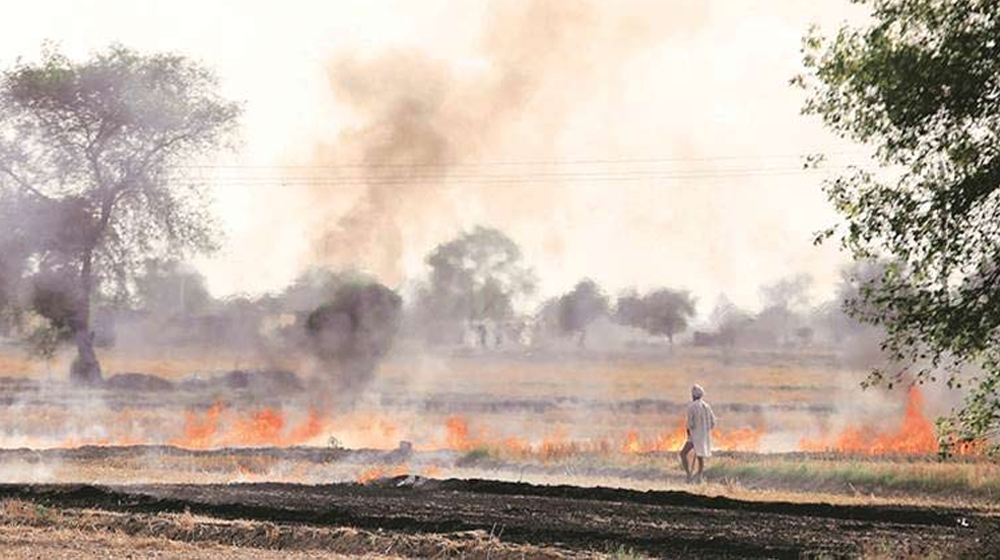 Crop Burning in Pakistan