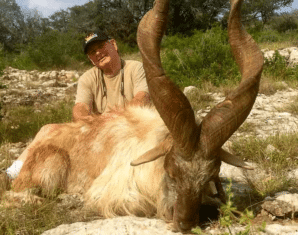KP Govt Issues Three Markhor Hunting Permits for Rs. 30 Million | propakistani.pk