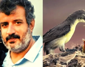 This Pakistani Wildlife Photograph Wins Best of Nation Award 2019 | propakistani.pk