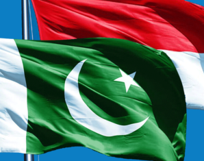 Indonesia Grants Market Access to 20 Pakistanis Products | propakistani.pk