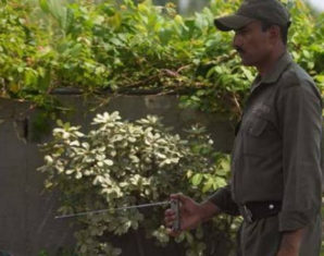 sale of bomb detector