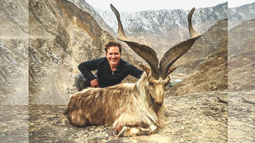 American Citizen Becomes the Highest Fee Payer for Markhor Hunt