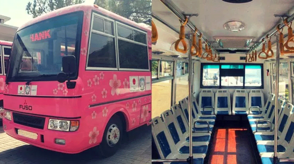 KP Reportedly Shuts Down Pink Bus Service
