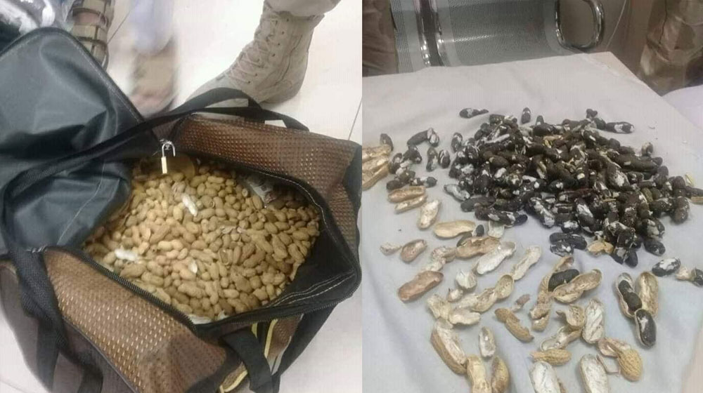 ANF Islamabad Foils Drug Smuggling Bid in Peanuts | propakistani.pk