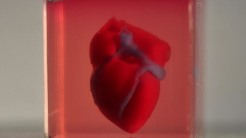 Scientists Develop Printed 3D Heart Using Patient Cells