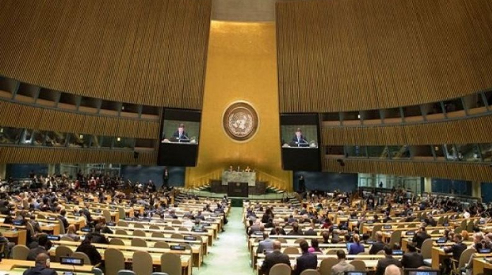 UN Adopts Resolution Co-Sponsored by Pakistan against Islamophobia