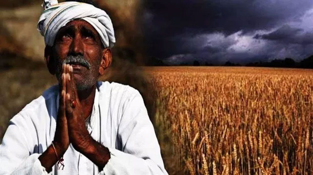 No Threat to Food Security Despite Heavy Rains: Govt | propakistani.pk