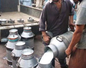Loose Milk in Punjab Not Suitable for Consumption